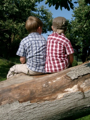 Kinder auf einem Baumstamm