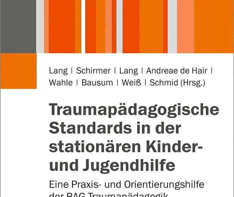 Traumapädagogische Standards in der stationären Kinder- und Jugendhilfe