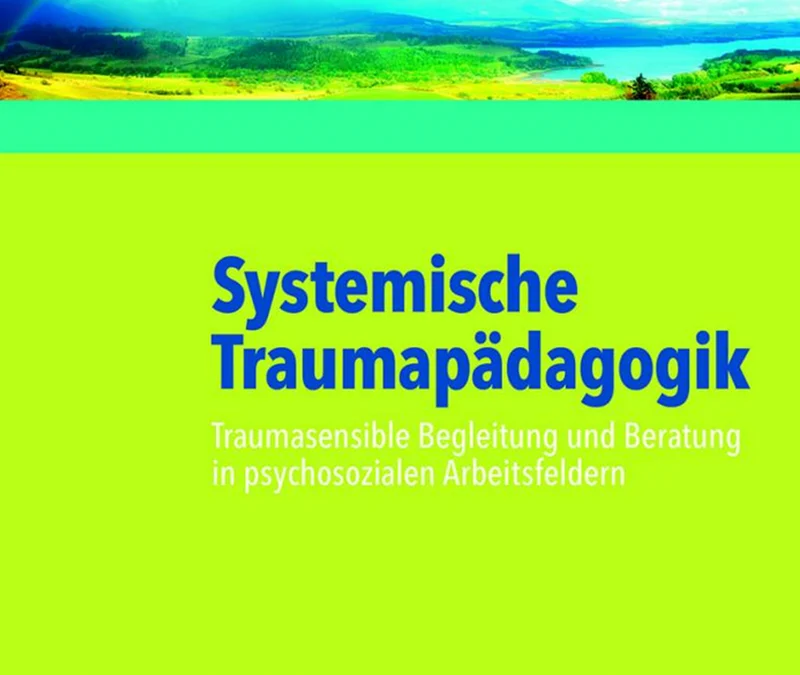 Systemische Traumapädagogik